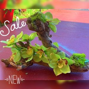 Orchids in Organic Wood Floral Arragement🍀
